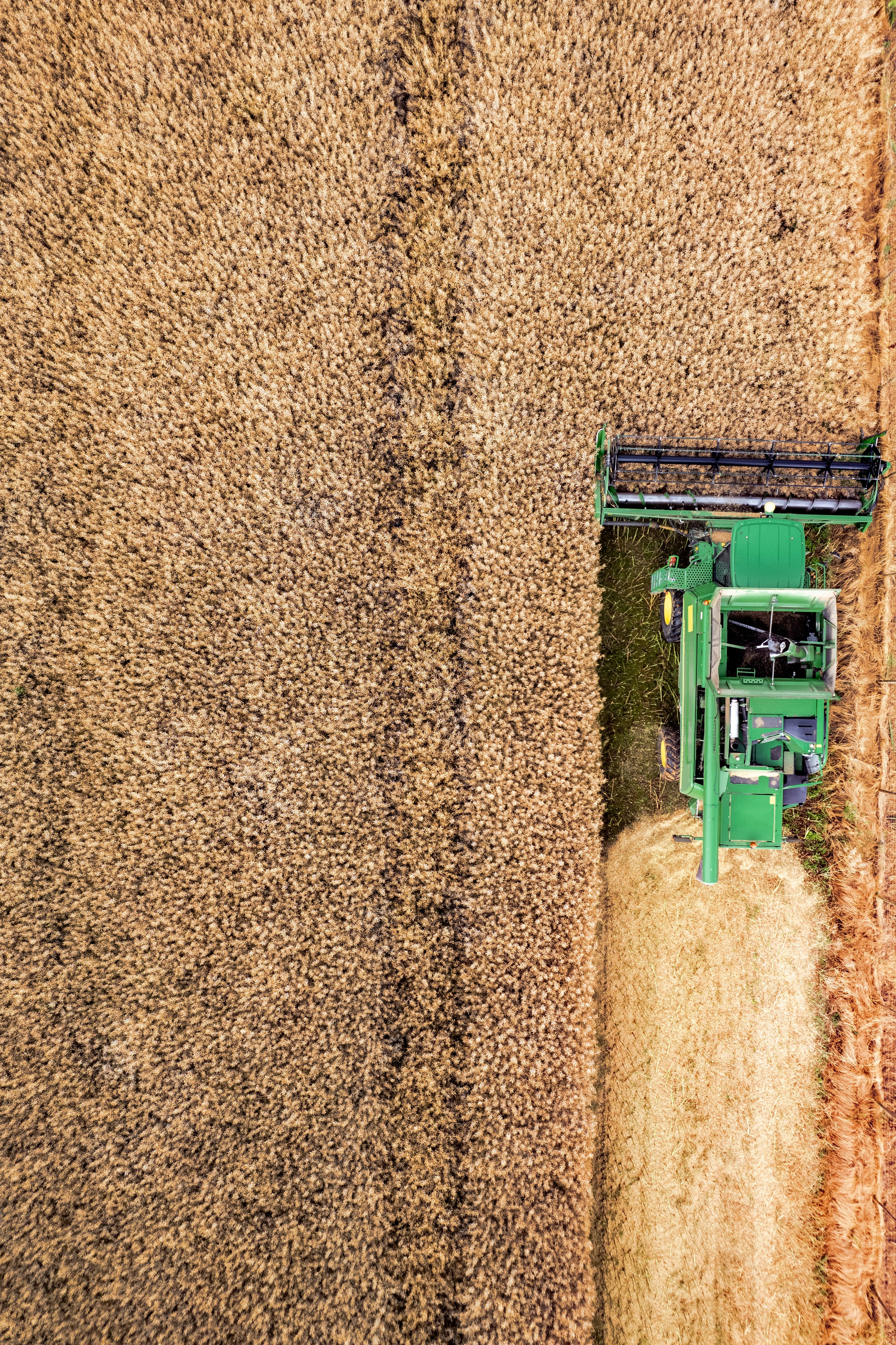 La recuperación económica perdió impulso y expuso una (fuerte dependencia sectorial)